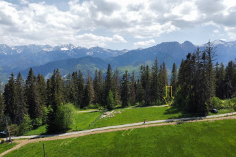 Działka Sprzedaż Zakopane