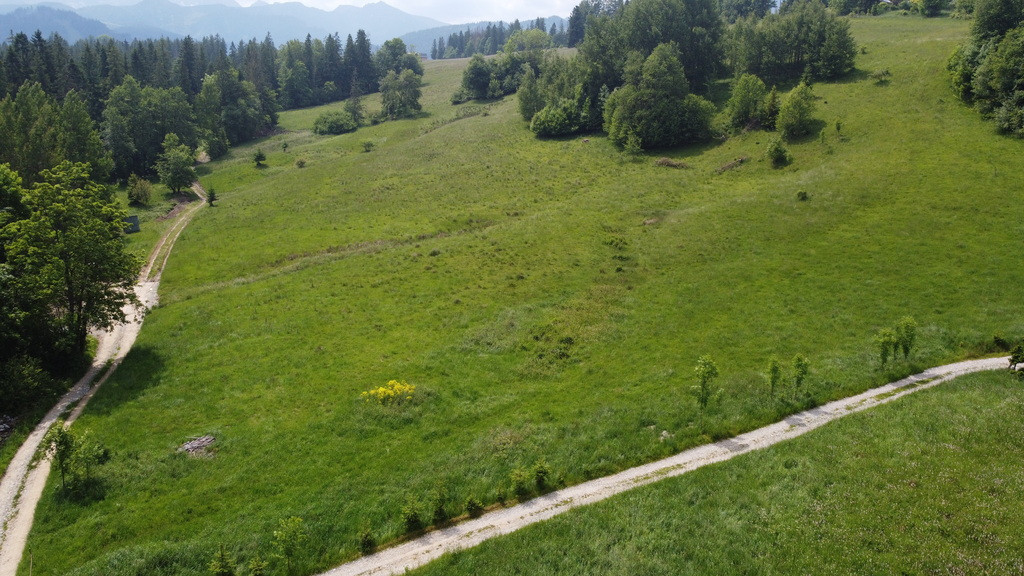Działka Sprzedaż Zakopane 6