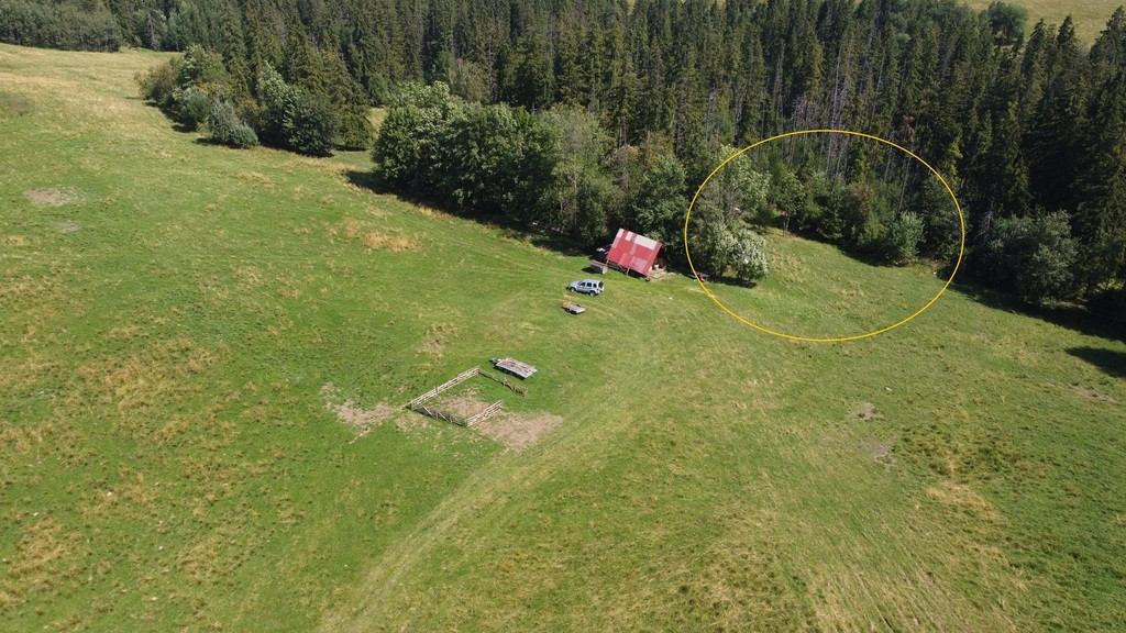 Działka Sprzedaż Zakopane 6