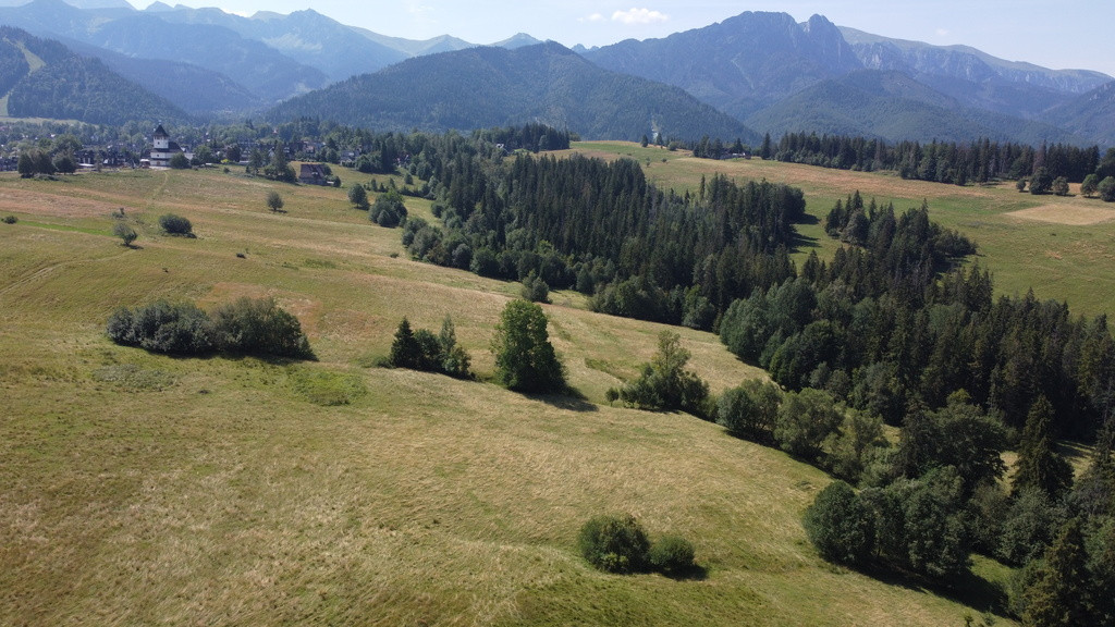 Działka Sprzedaż Zakopane