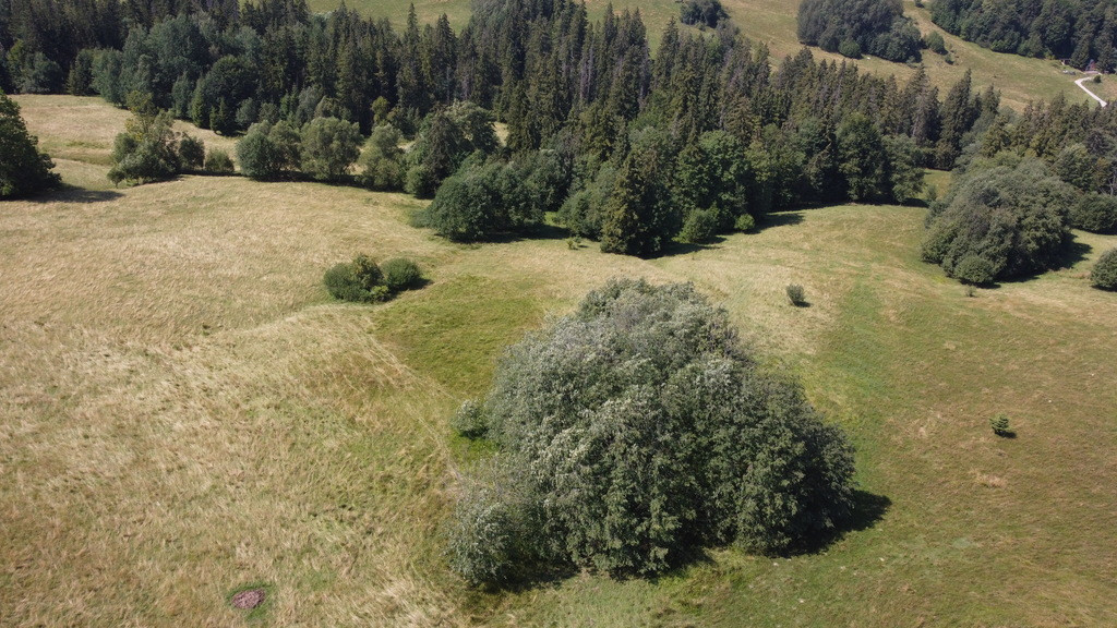 Działka Sprzedaż Zakopane 3