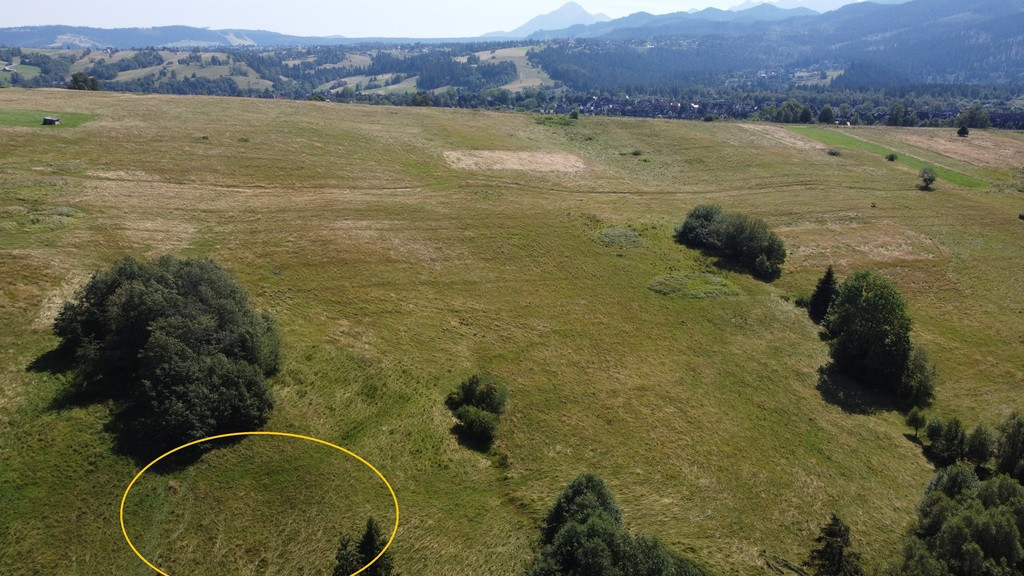Działka Sprzedaż Zakopane 4