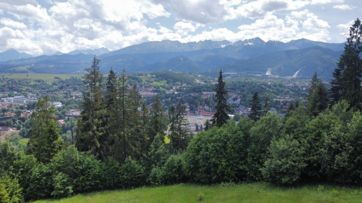 Działka Sprzedaż Zakopane 8