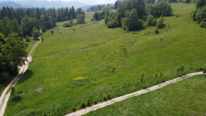 Działka Sprzedaż Zakopane