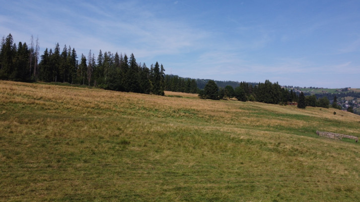 Działka Sprzedaż Zakopane 8