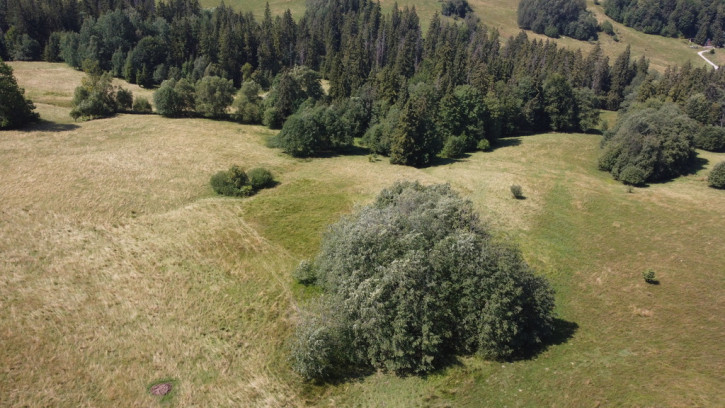 Działka Sprzedaż Zakopane 3